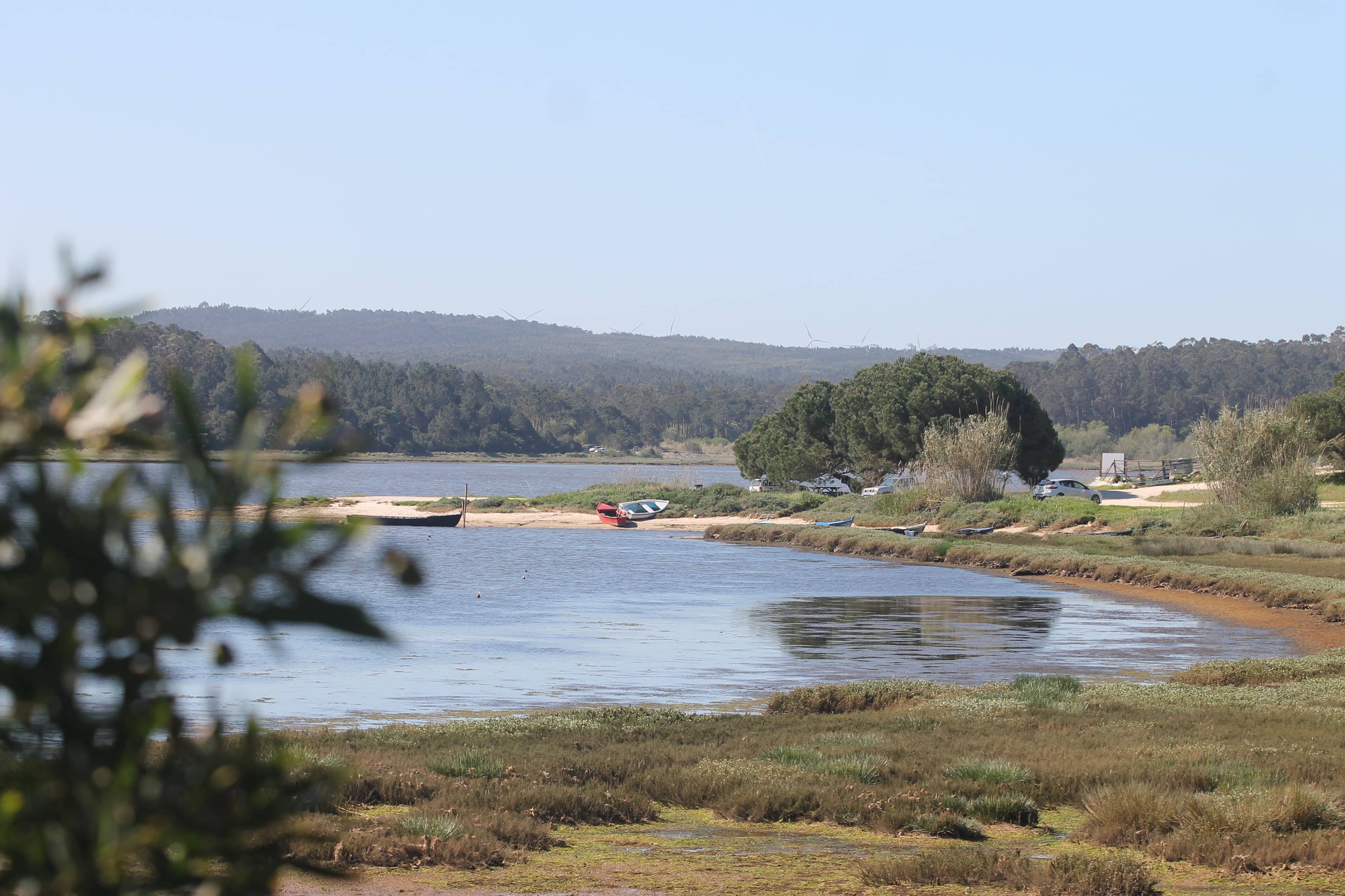 Lagoa de Óbidos shoreline