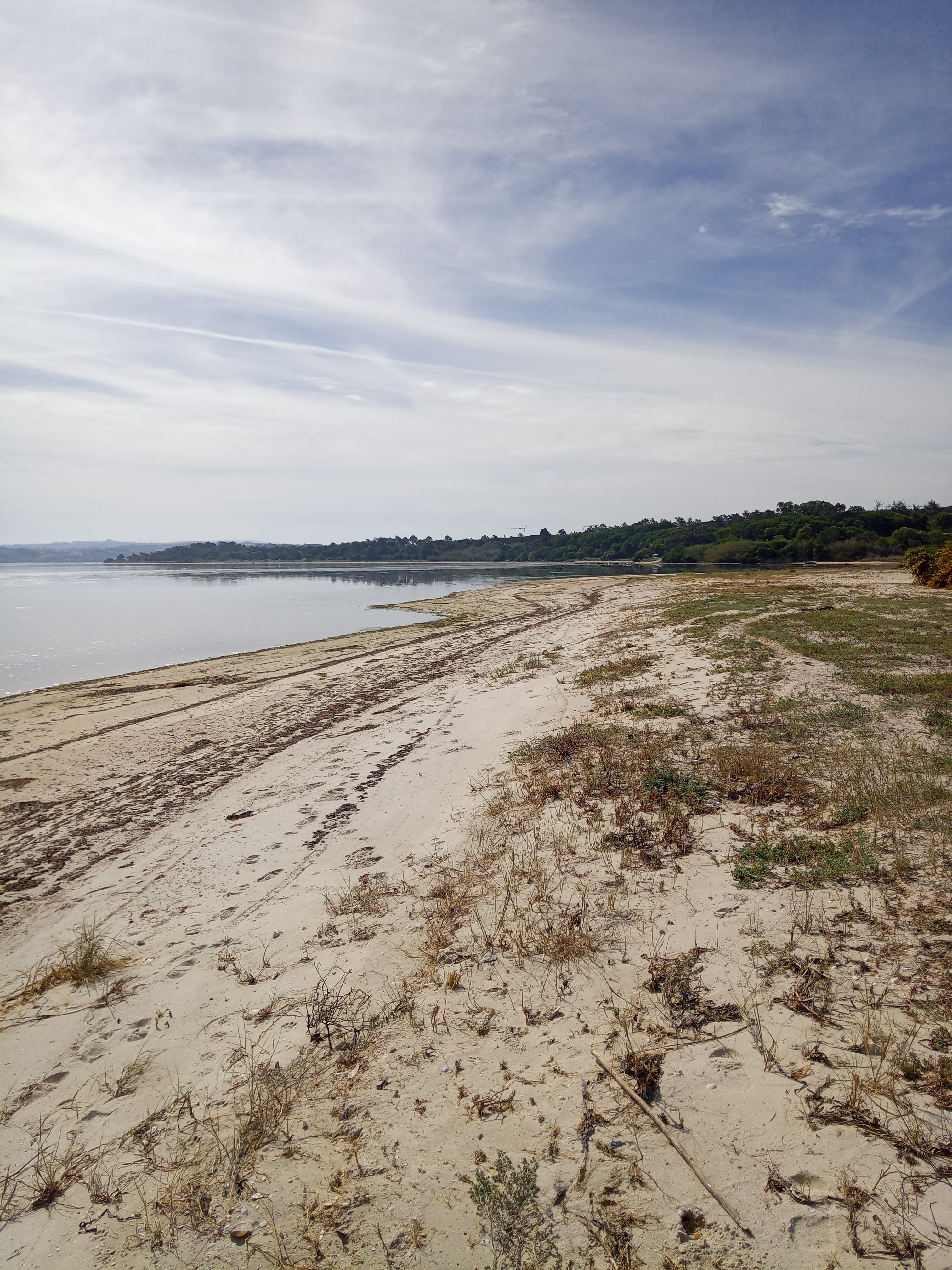 Lagoa de Óbidos shoreline
