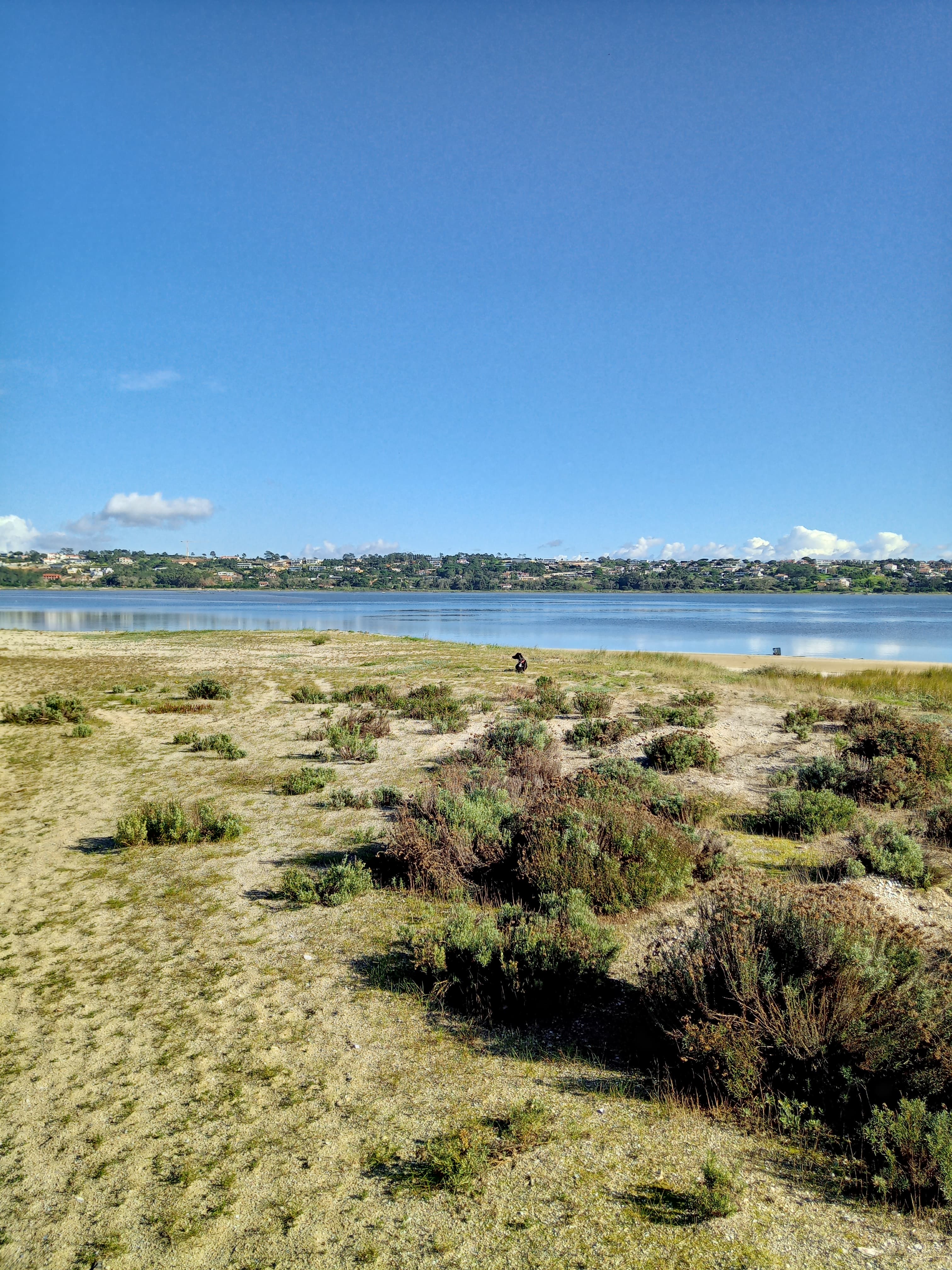 Lagoa de Óbidos panoramic view